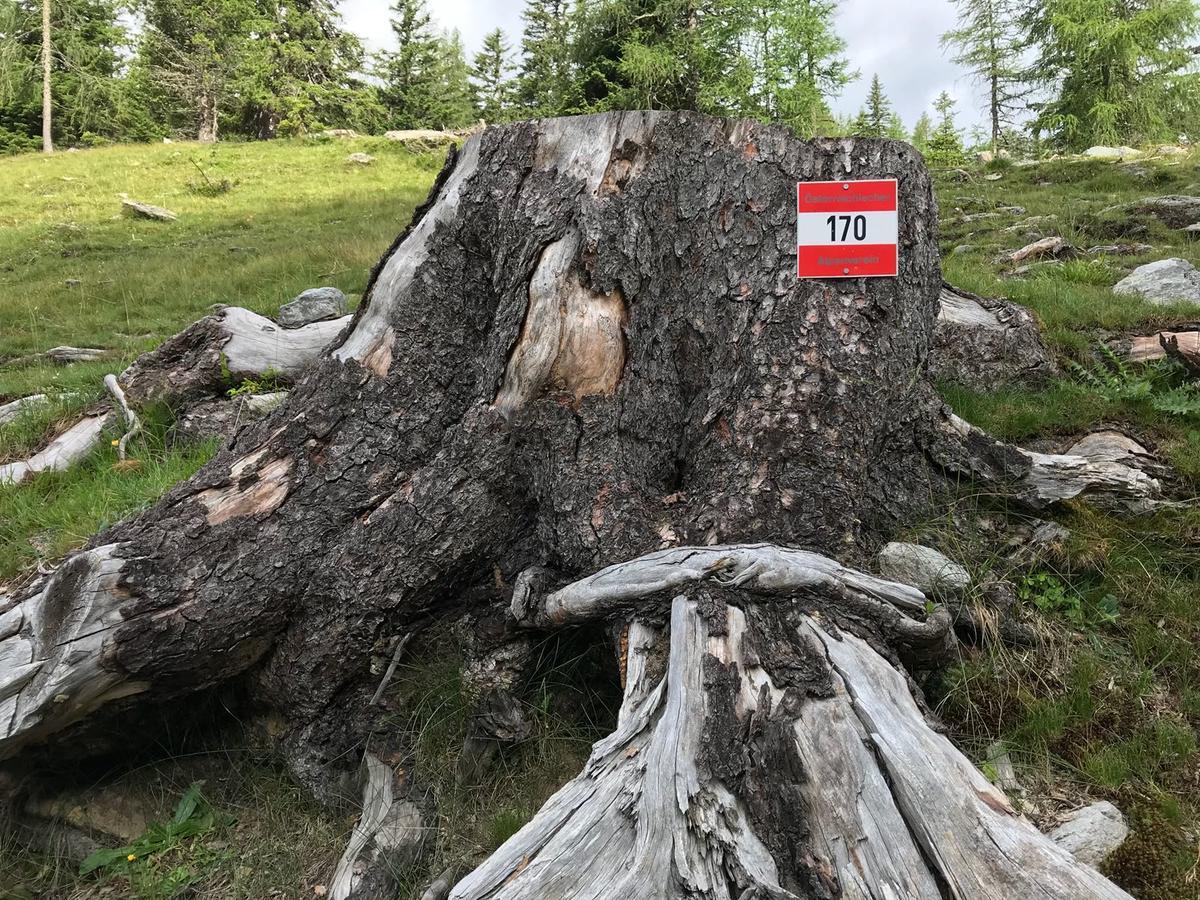 Simonbauerhof Villa Bad Kleinkirchheim Kültér fotó