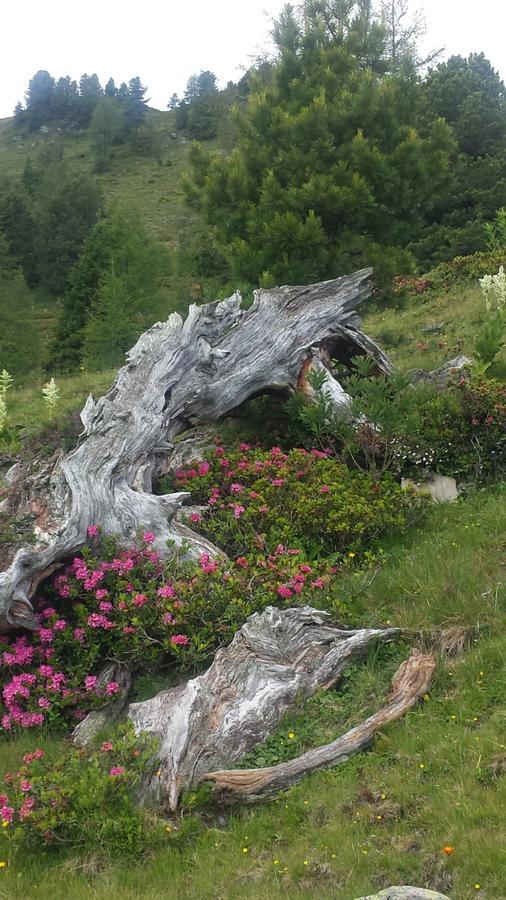 Simonbauerhof Villa Bad Kleinkirchheim Kültér fotó