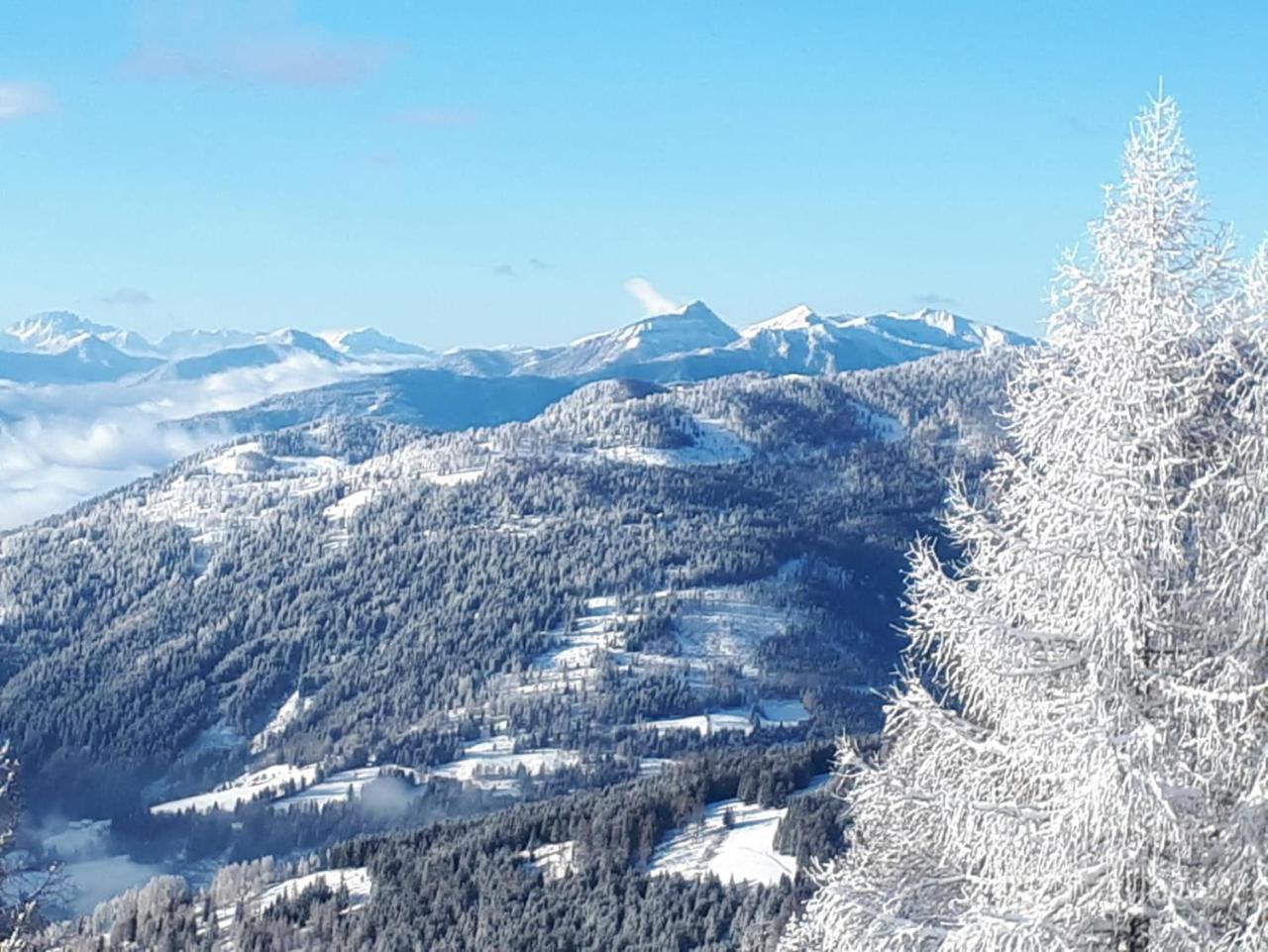 Simonbauerhof Villa Bad Kleinkirchheim Kültér fotó
