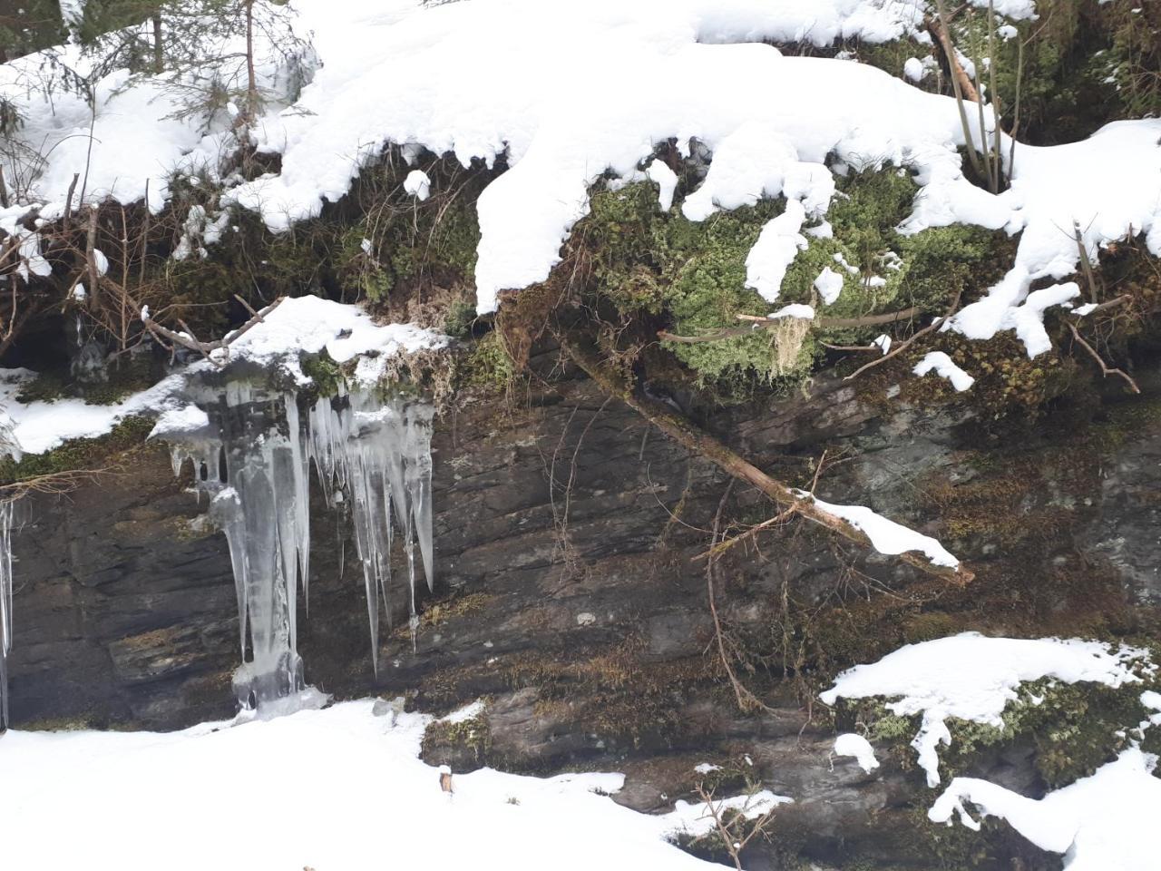 Simonbauerhof Villa Bad Kleinkirchheim Kültér fotó